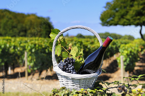 Photo: bottle of red wine bottle of red wine