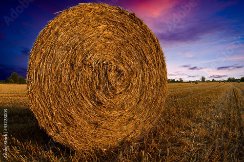 Photo: campagna - countryside campagna - countryside