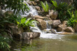 Wasserfall im Jungel