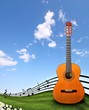 Guitar at the country