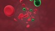 Vídeo: blood cells and virus blood cells and virus
