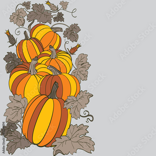 Вектор: Pumpkin Background Pumpkin Background