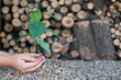 Save the Nature-alternative energy