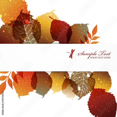 Vector: fallen leaves background fallen leaves background