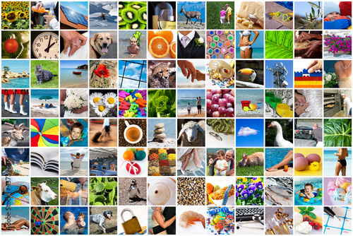Photo: Life collage Life collage
