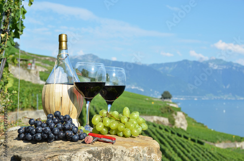 Foto: Red wine and grapes. Lavaux region, Switzerland Red wine and grapes. Lavaux region, Switzerland