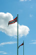 Norwegische  Flaggen