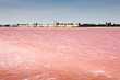 Les salins d'aigues mortes