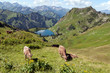 Seealpsee