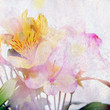 beautiful flowers made with color filters