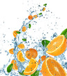 Fresh oranges in water splash on white background.