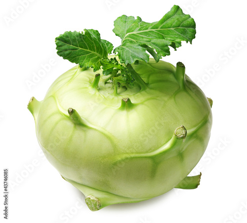 Photo: Cabbage kohlrabi Cabbage kohlrabi