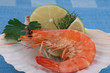 scampi auf muschel