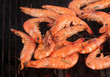 Scampi