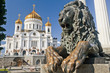 Manument lion with Christ the Savior Cathedral in Moscow