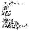 elements for design flowers and ornaments floral