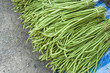 Heap of Yard Long Bean on Sale  at  Farmer's Market.