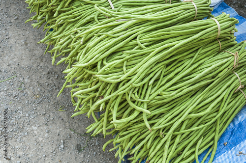 Photo: Heap of Yard Long Bean on Sale at Farmer's Market. Heap of Yard Long Bean on Sale at Farmer's Market.