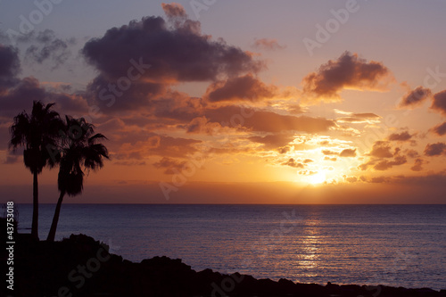 Photo: orange sunset on tropical island with palm orange sunset on tropical island with palm
