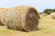 Heuballen