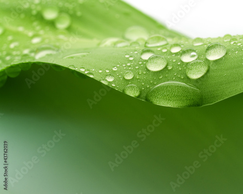 Photo: Plant Plant