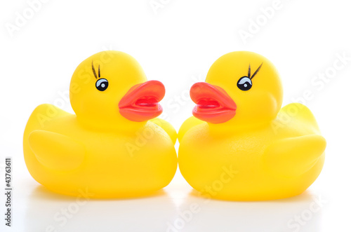 Photo: couple of yellow rubber duck - front couple of yellow rubber duck - front
