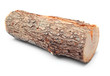 Cut log fire wood from Common Oak tree.