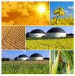 Bioenergie