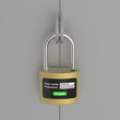 Illustration: New generation of the lock on steel door New generation of the lock on steel door