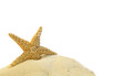 single starfish on a sand hill