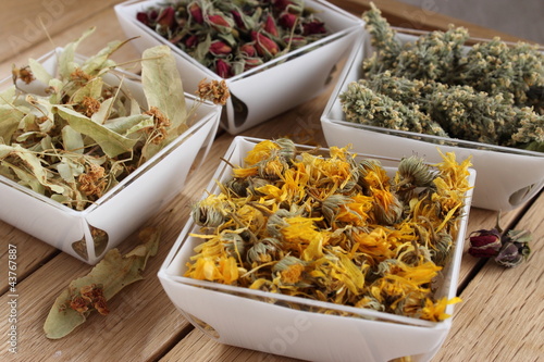 Photo: Plantes sèches pour la phytothérapie traditionnelle Plantes sèches pour la phytothérapie traditionnelle
