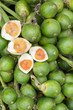 Photo: Ripe areca-nut Ripe areca-nut