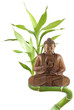 Bouddha assis sur bambou asiatique