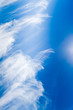 cirrus clouds in blue sky
