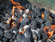Grillkohle