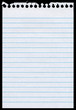 White lined blank torn notepaper page isolated black background.