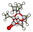 Camphor 3D molecular model