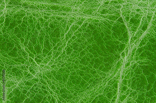 Photo: Green leather Green leather