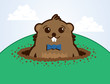 Cartoon groundhog on top of a hill