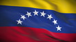Highly detailed flag of Venezuela ripples in the wind. Looped