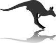 Vektor: Kangaroo Kangaroo