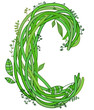 Letter C. Ecology