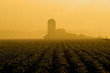 Photo: Farmland Farmland