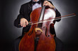 Photo: Musician Musician