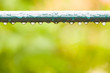 Raindrops on a fence in city park or garden