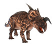 einiosaurus staring