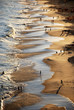 Photo: Sunset on Piratininga beach Sunset on Piratininga beach