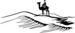 Bedouin on camel in the desert