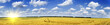 Golden wheat field.
