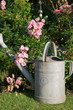 Gartenidylle